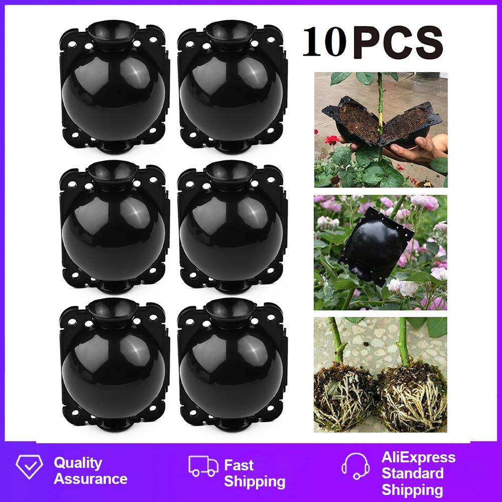 6/10Pcs Ĺ Ѹ   ̽  ̽    Jardinage Ĺ Ѹ   ׼